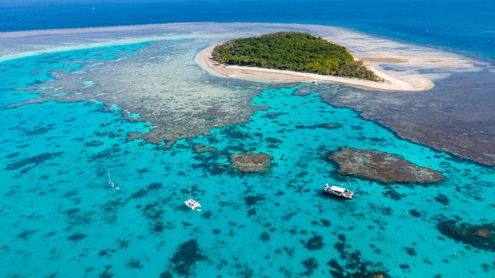 korallenriffe-am-great-barrier-reef-behalten-juengste-rekordgewinne-bei-und-trotzen-allen-weltuntergangsvorhersagen