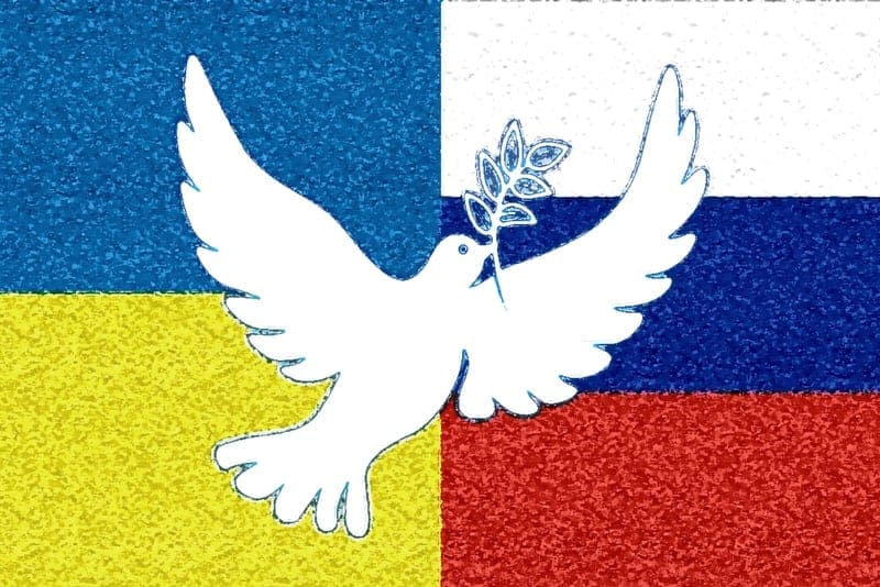vorschlag-fuer-verhandlungen-zur-erreichung-von-frieden-in-der-ukraine