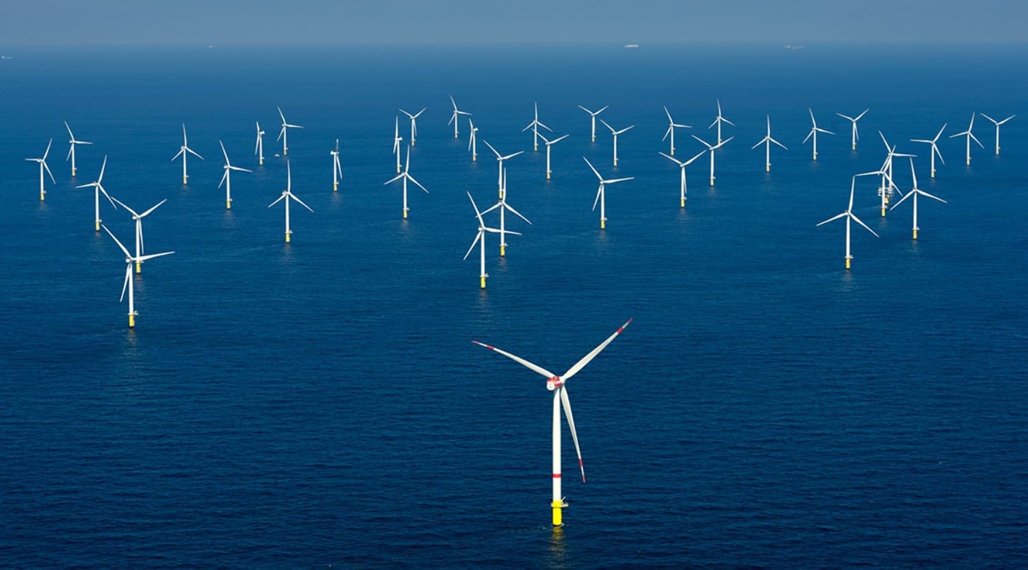 keine-gebote-fuer-offshore-windkraft-bei-regierungsauktion,-die-als-„fehlschlag“-und-„meilenstein-fuer-erneuerbare-energiepolitik“-bezeichnet-wird