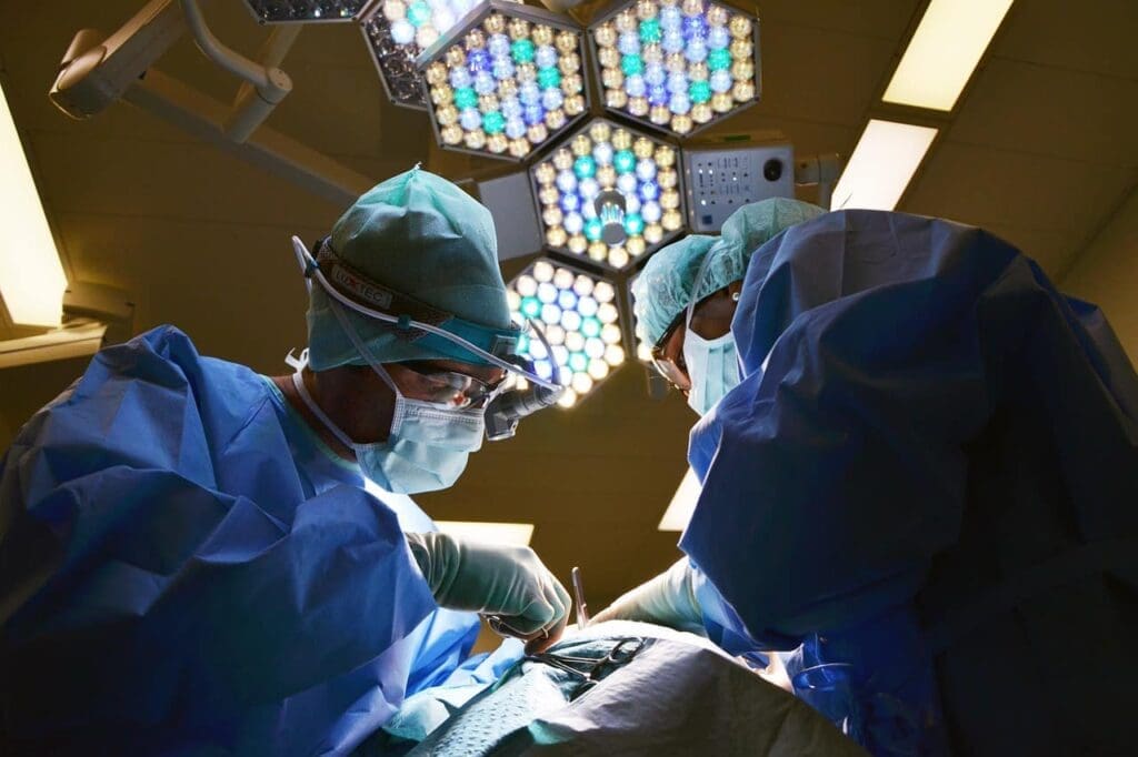 us-aerzte-berichten-ueber-die-laengste-erfolgreiche-schweine-zu-mensch-nierentransplantation