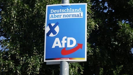afd-zustimmung-waechst-unaufhaltsam-in-brandenburg-und-hessen