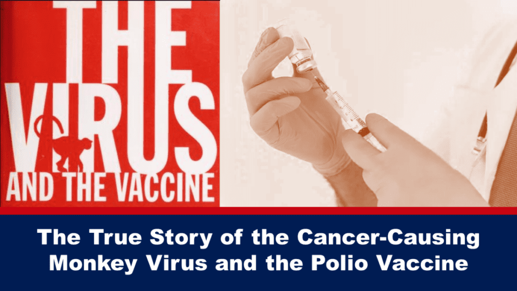 die-wahre-geschichte-des-krebsverursachenden-affenvirus-und-des-polio-impfstoffs