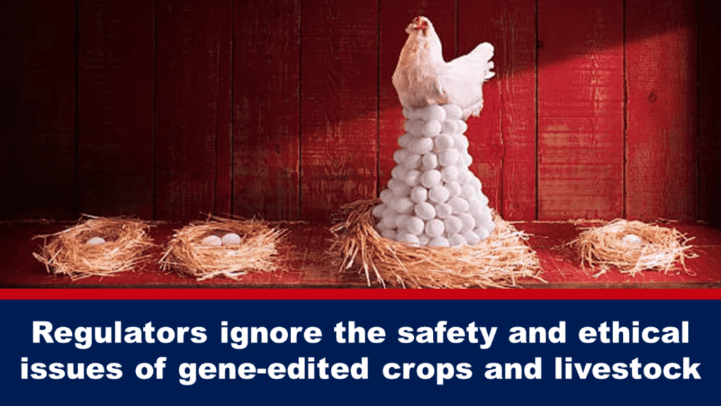 regulierungsbehoerden-ignorieren-sicherheits-und-ethische-bedenken-bei-geneditierten-pflanzen-und-nutztieren