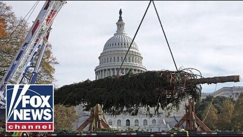 congress-hosts-its-annual-lighting-of-the-us.-capitol-christmas-tree