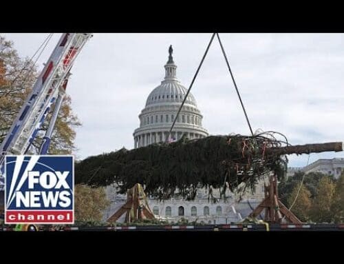 Congress hosts its annual lighting of the U.S. Capitol Christmas Tree