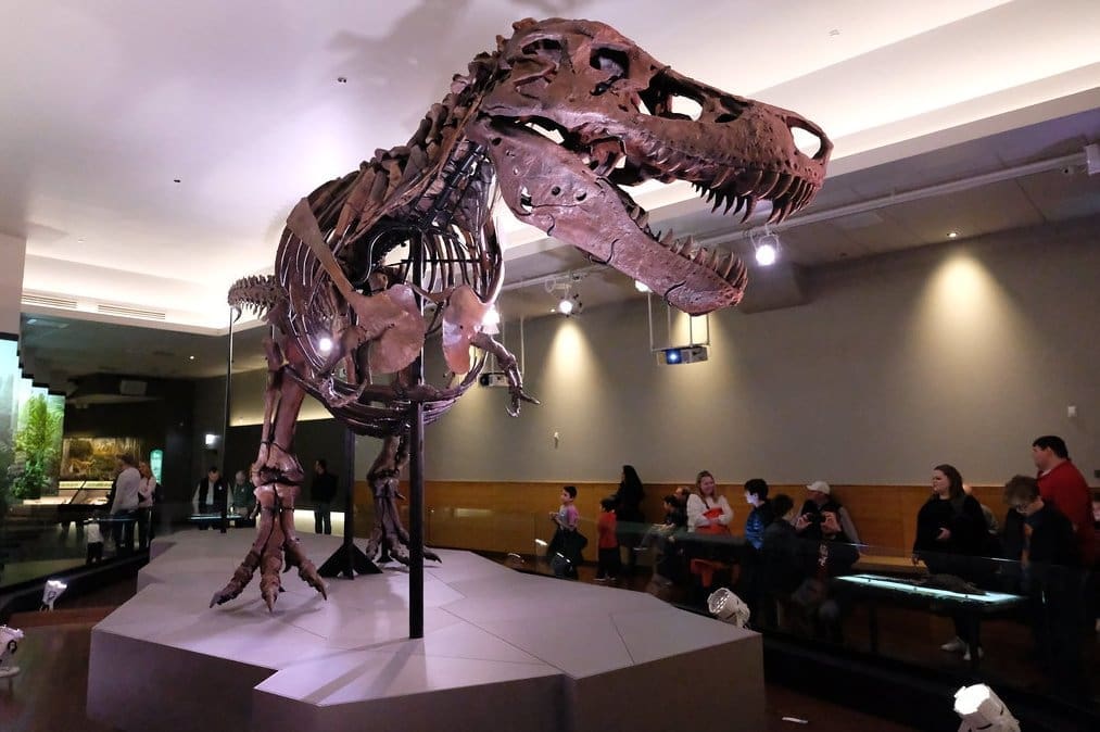 trannysaurus-rex:-die-aktivistischen-akademiker,-die-dinosaurier-„queeren
