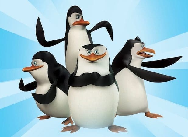 man-sollte-ein-pinguin-sein!-skipper,-kowalski,-rico-&-co-schlafen-10.000-mal-am-tag
