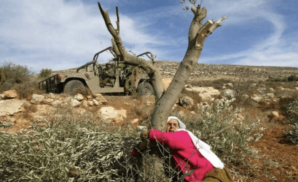 israels-unerbittlicher-krieg-gegen-die-umwelt-gazas