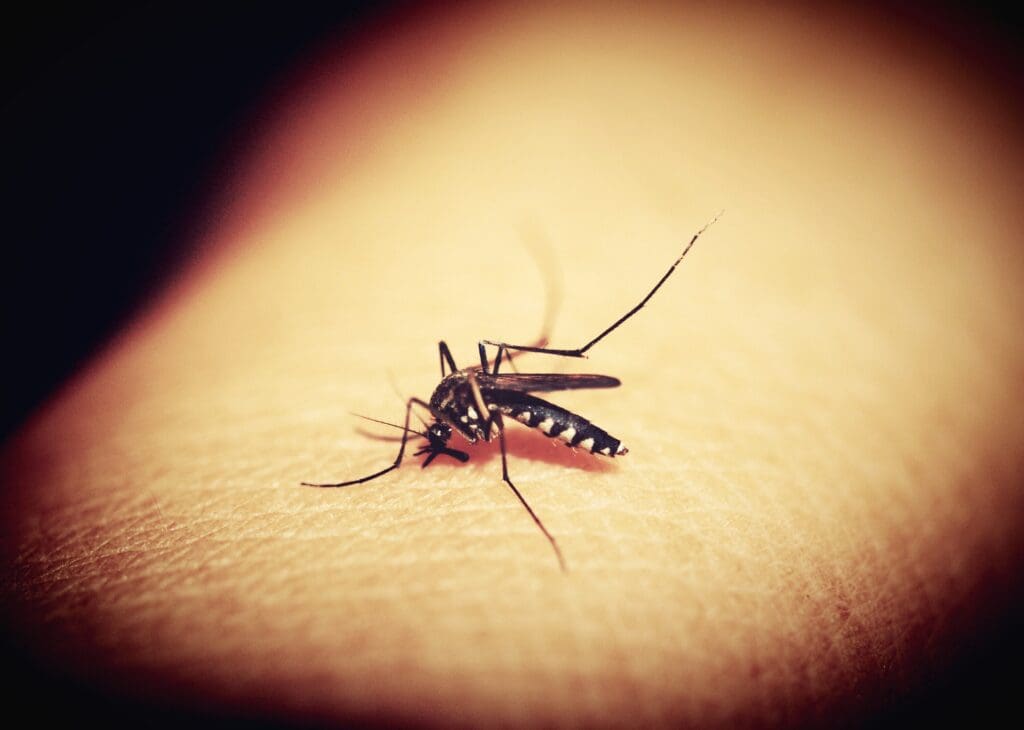 kap-verde-erklaert-sich-malariafrei