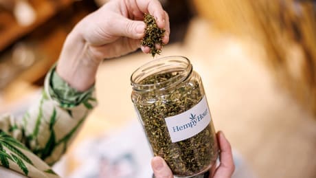 verbot-von-cannabis-beendet:-bundestag-genehmigt-legalisierung