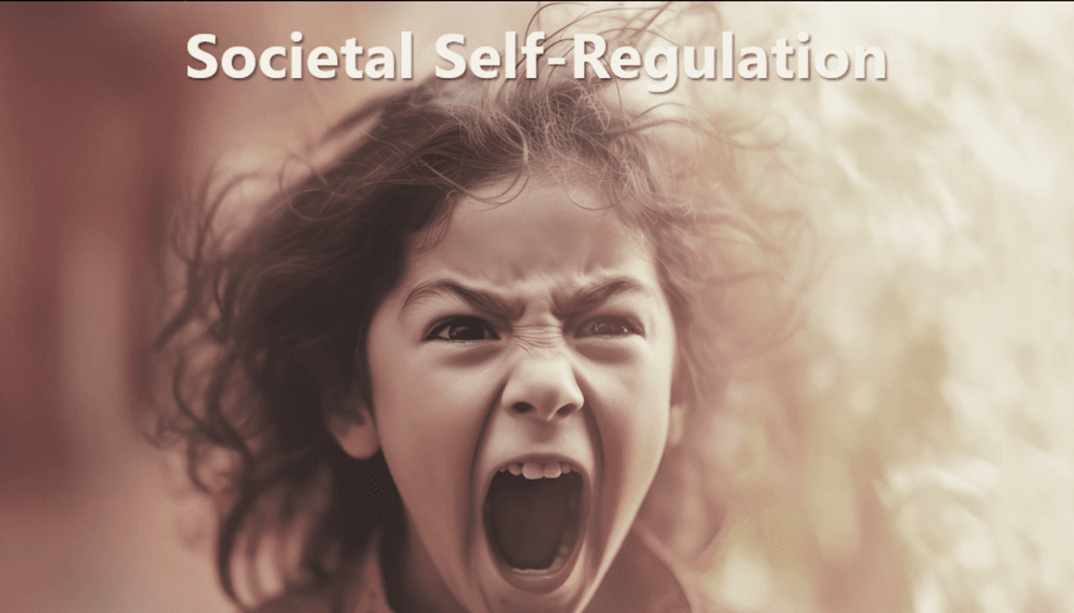 gesellschaftliche-selbstregulierung