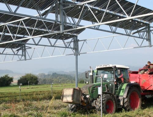 Sonnenenergie aus landwirtschaftlichen Flächen hat vielversprechendes Potenzial