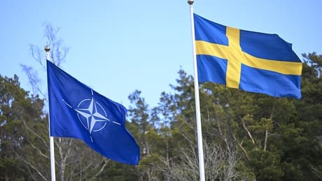 schweden-lehnt-langfristige-nato-stuetzpunkte-auf-seinem-territorium-ab