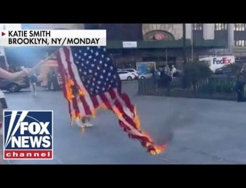 Anti-Israel protesters burn US flag, chant ‚death to America!‘