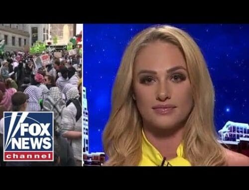 Tomi Lahren: ‚This shows you how far the Democrat Party has fallen‘