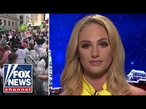 tomi-lahren:-‚this-shows-you-how-far-the-democrat-party-has-fallen‘