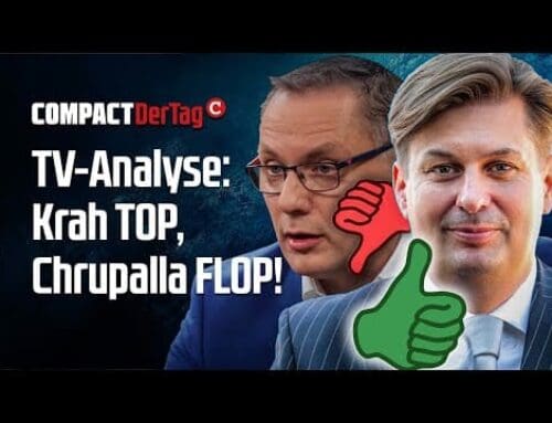 TV-Analyse: Krah TOP, Chrupalla FLOP!💥
