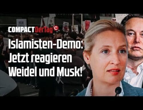 Islamisten-Demo: Jetzt reagieren Weidel und Musk!💥