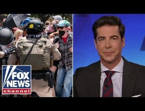 Jesse Watters: What’s going on is ‚insanity‘