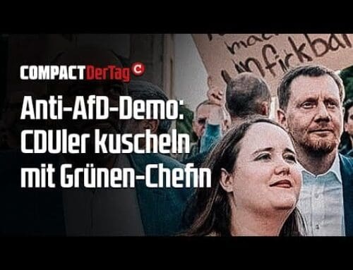 Anti-AfD-Demo: CDUler kuscheln mit Grünen-Chefin💥